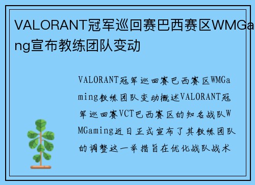 VALORANT冠军巡回赛巴西赛区WMGaming宣布教练团队变动