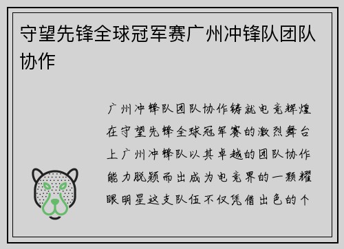 守望先锋全球冠军赛广州冲锋队团队协作