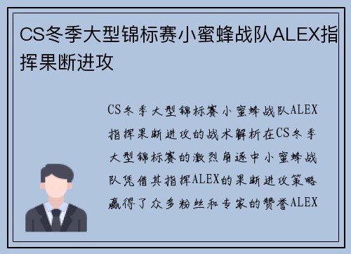 CS冬季大型锦标赛小蜜蜂战队ALEX指挥果断进攻